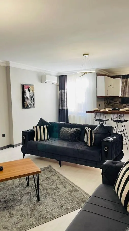 Ekinci Plaza Apartment Istanbul 0*,